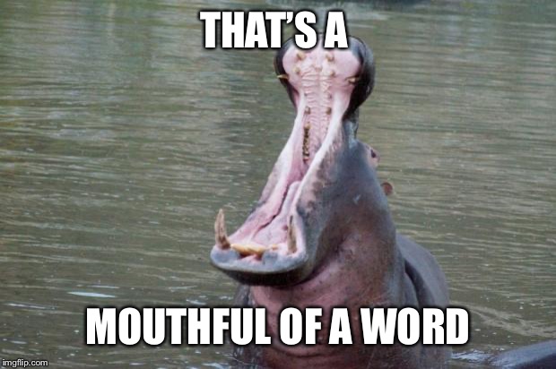 Hippo Mouth Open | THAT’S A MOUTHFUL OF A WORD | image tagged in hippo mouth open | made w/ Imgflip meme maker