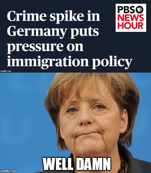 damn | WELL DAMN | image tagged in angela merkel frown,i know she is gone,immigration | made w/ Imgflip meme maker
