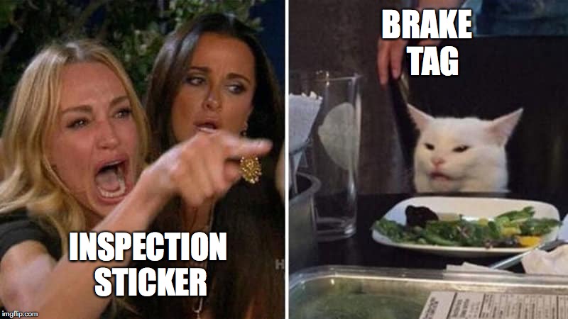 Girls vs Cat | BRAKE
            TAG; INSPECTION
 STICKER | image tagged in girls vs cat | made w/ Imgflip meme maker