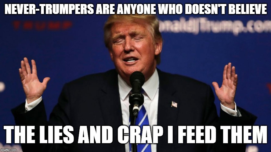 Donald tiny hands | NEVER-TRUMPERS ARE ANYONE WHO DOESN'T BELIEVE; THE LIES AND CRAP I FEED THEM | image tagged in donald tiny hands | made w/ Imgflip meme maker