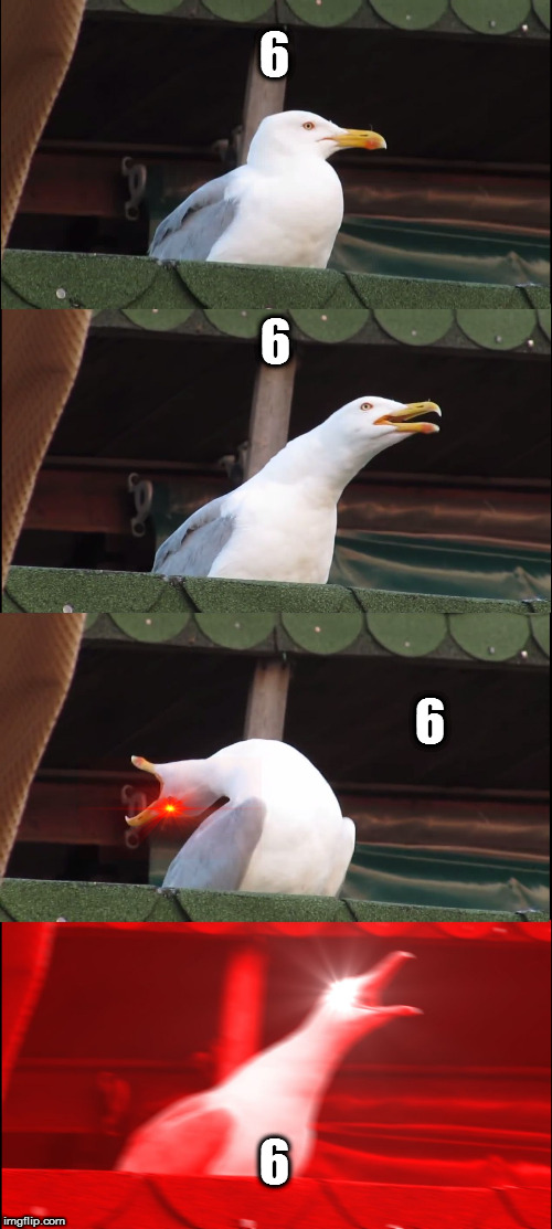 Inhaling Seagull Meme | 6; 6; 6; 6 | image tagged in memes,inhaling seagull | made w/ Imgflip meme maker