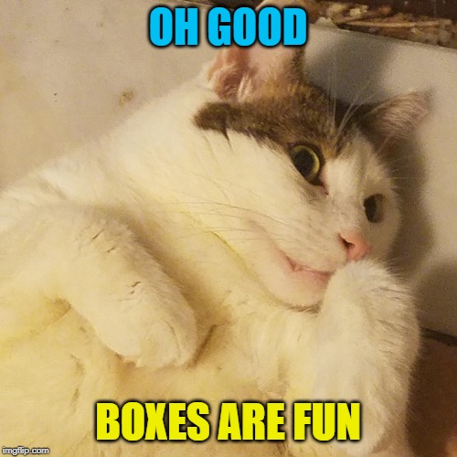 OH GOOD BOXES ARE FUN | made w/ Imgflip meme maker