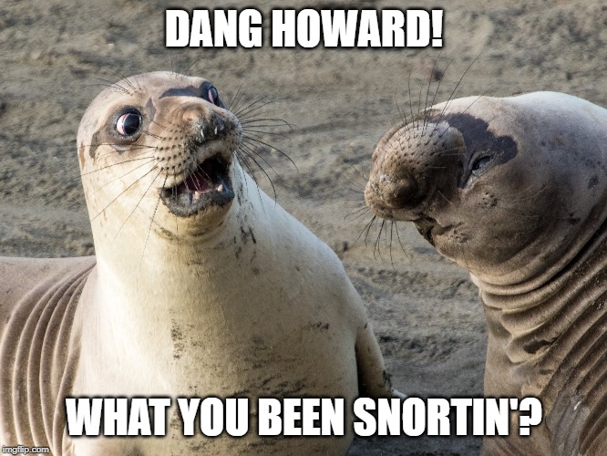 Snortin Sealion | DANG HOWARD! WHAT YOU BEEN SNORTIN'? | image tagged in awkward sealion | made w/ Imgflip meme maker