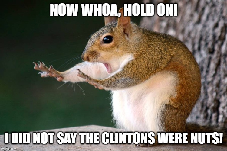 Scared Squirrel | NOW WHOA, HOLD ON! I DID NOT SAY THE CLINTONS WERE NUTS! | image tagged in clinton,scared squirrel | made w/ Imgflip meme maker