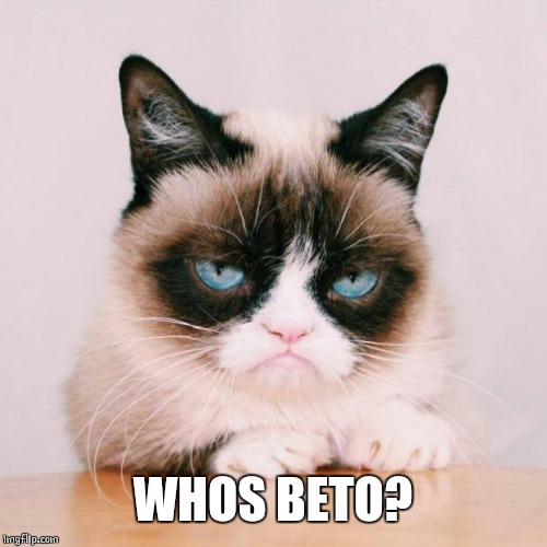 grumpy cat again | WHOS BETO? | image tagged in grumpy cat again | made w/ Imgflip meme maker