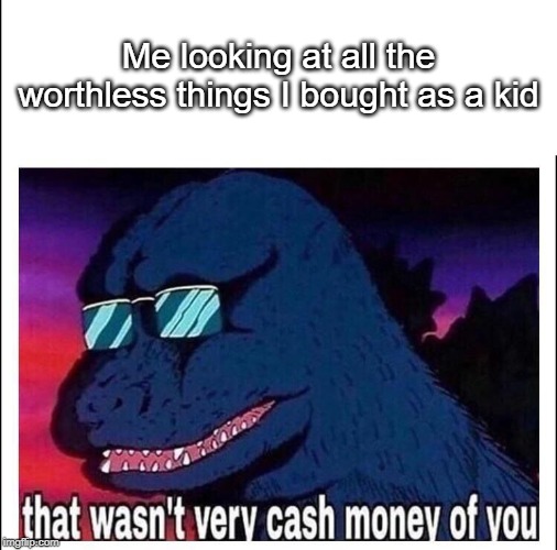 That wasn’t very cash money | Me looking at all the worthless things I bought as a kid | image tagged in that wasnt very cash money | made w/ Imgflip meme maker