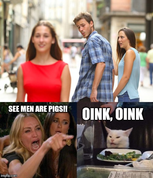 OINK, OINK; SEE MEN ARE PIGS!! | image tagged in memes,distracted boyfriend,woman yelling at a cat | made w/ Imgflip meme maker