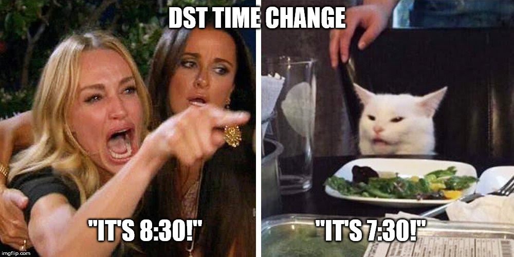 Smudge the cat | DST TIME CHANGE; "IT'S 8:30!"                         "IT'S 7:30!" | image tagged in smudge the cat | made w/ Imgflip meme maker