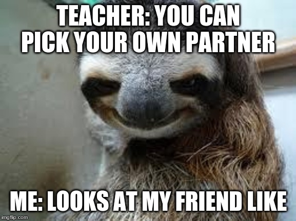 Creepy sloth |  TEACHER: YOU CAN PICK YOUR OWN PARTNER; ME: LOOKS AT MY FRIEND LIKE | image tagged in creepy sloth | made w/ Imgflip meme maker