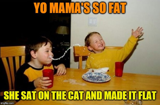 Yo Mamas So Fat |  YO MAMA'S SO FAT; SHE SAT ON THE CAT AND MADE IT FLAT | image tagged in memes,yo mamas so fat,funny meme | made w/ Imgflip meme maker
