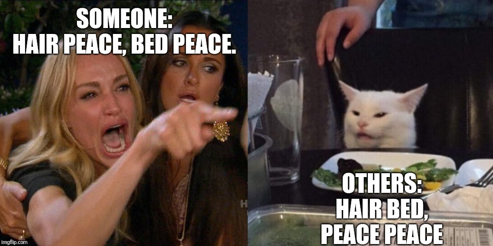 Woman yelling at cat | SOMEONE: HAIR PEACE, BED PEACE. OTHERS: HAIR BED, PEACE PEACE | image tagged in woman yelling at cat | made w/ Imgflip meme maker