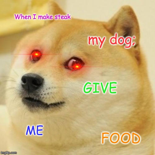 Doge Meme | When I make steak; my dog;; GIVE; ME; FOOD | image tagged in memes,doge | made w/ Imgflip meme maker