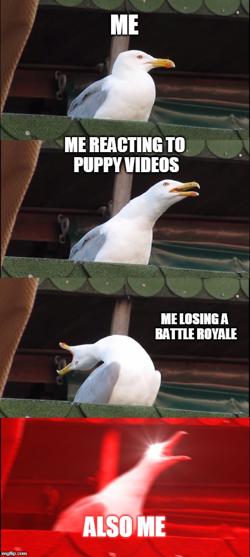 Inhaling Seagull Meme | ME; ME REACTING TO
 PUPPY VIDEOS; ME LOSING A
 BATTLE ROYALE; ALSO ME | image tagged in memes,inhaling seagull | made w/ Imgflip meme maker