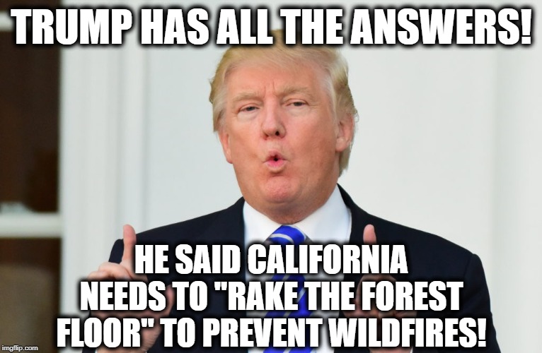 Trump Has All The Answers! #1 | TRUMP HAS ALL THE ANSWERS! HE SAID CALIFORNIA NEEDS TO "RAKE THE FOREST FLOOR" TO PREVENT WILDFIRES! | image tagged in donald trump,california,moron,impeach trump,genius,forest fire | made w/ Imgflip meme maker