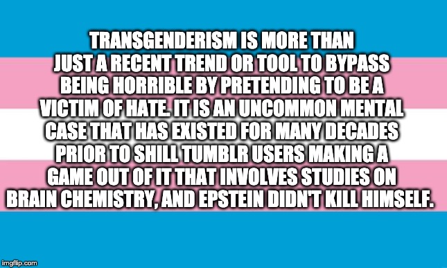 lefty memes | TRANSGENDERISM IS MORE THAN JUST A RECENT TREND OR TOOL TO BYPASS BEING HORRIBLE BY PRETENDING TO BE A VICTIM OF HATE. IT IS AN UNCOMMON MENTAL CASE THAT HAS EXISTED FOR MANY DECADES PRIOR TO SHILL TUMBLR USERS MAKING A GAME OUT OF IT THAT INVOLVES STUDIES ON BRAIN CHEMISTRY, AND EPSTEIN DIDN'T KILL HIMSELF. | image tagged in transgender flag,jeffrey epstein | made w/ Imgflip meme maker