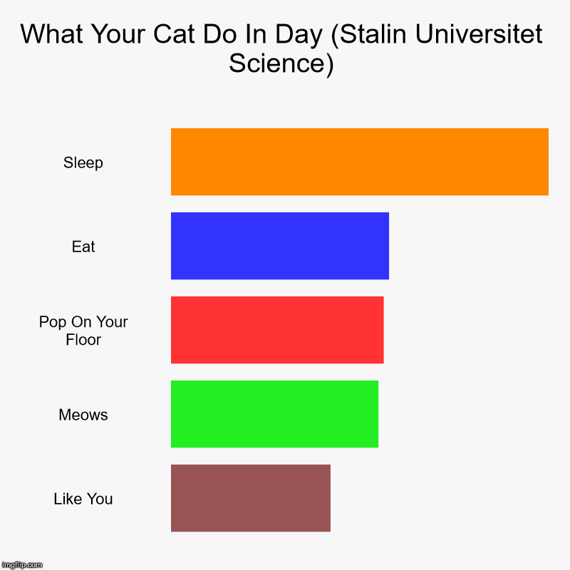 What Your Cat Do In Day (Stalin Universitet Science) | Sleep, Eat, Pop On Your Floor, Meows, Like You | image tagged in charts,bar charts | made w/ Imgflip chart maker
