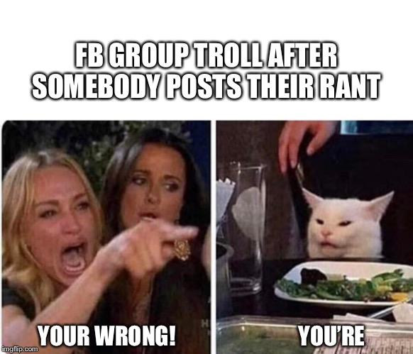 Lady screams at cat | FB GROUP TROLL AFTER SOMEBODY POSTS THEIR RANT; YOUR WRONG!                            YOU’RE | image tagged in lady screams at cat | made w/ Imgflip meme maker