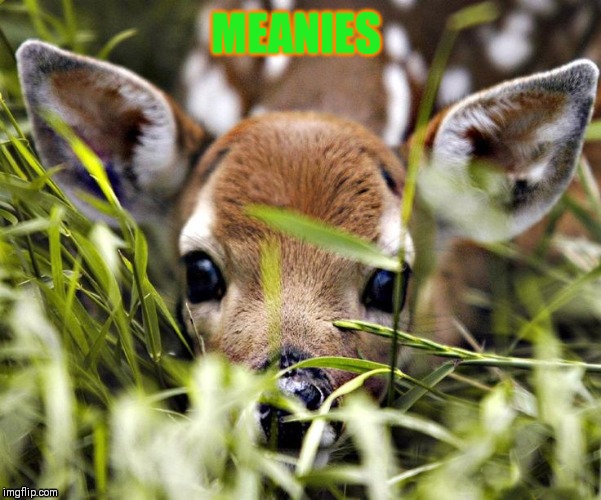 MEANIES | made w/ Imgflip meme maker