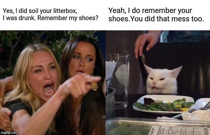 Woman Yelling At Cat Meme | Yes, I did soil your litterbox, I was drunk. Remember my shoes? Yeah, I do remember your shoes.You did that mess too. | image tagged in memes,woman yelling at a cat | made w/ Imgflip meme maker