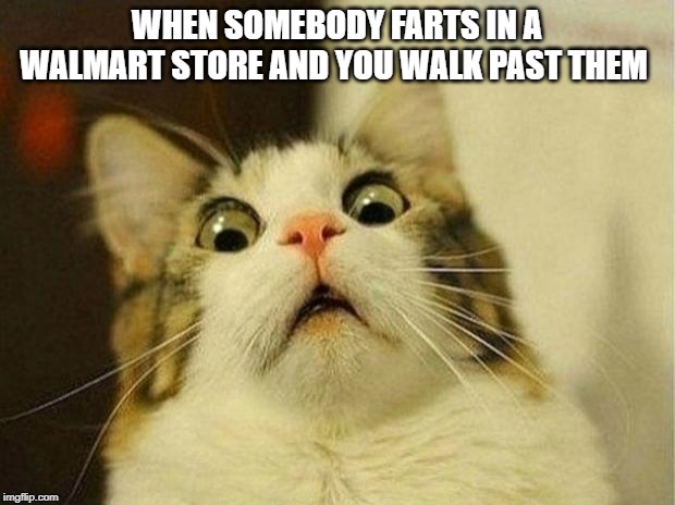 Scared Cat | WHEN SOMEBODY FARTS IN A WALMART STORE AND YOU WALK PAST THEM | image tagged in memes,scared cat | made w/ Imgflip meme maker