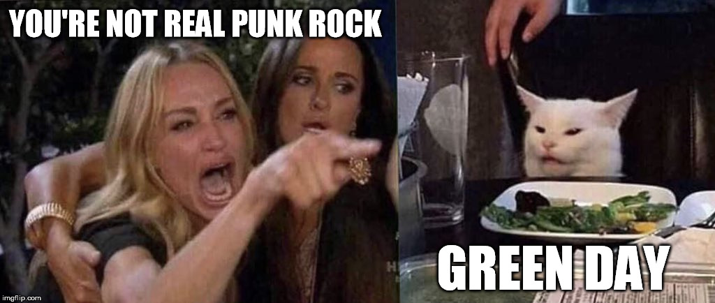woman yelling at cat | YOU'RE NOT REAL PUNK ROCK; GREEN DAY | image tagged in woman yelling at cat | made w/ Imgflip meme maker