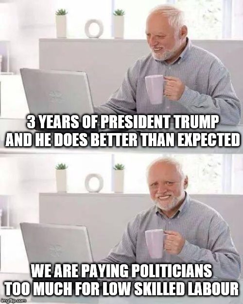Lesson learned: minimum wage for politicians | 3 YEARS OF PRESIDENT TRUMP AND HE DOES BETTER THAN EXPECTED; WE ARE PAYING POLITICIANS TOO MUCH FOR LOW SKILLED LABOUR | image tagged in memes,hide the pain harold | made w/ Imgflip meme maker