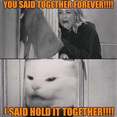 Real Talk!!!! |  YOU SAID TOGETHER FOREVER!!!! I SAID HOLD IT TOGETHER!!!! | image tagged in woman yelling at cat | made w/ Imgflip meme maker
