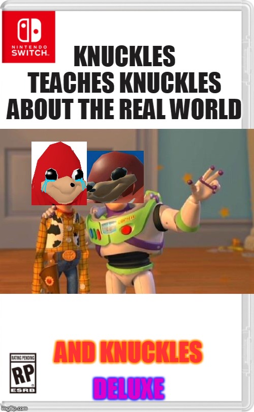 Nintendo Switch Cartridge Case | KNUCKLES TEACHES KNUCKLES ABOUT THE REAL WORLD; DELUXE; AND KNUCKLES | image tagged in nintendo switch cartridge case | made w/ Imgflip meme maker