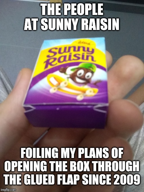 Bottom flap |  THE PEOPLE AT SUNNY RAISIN; FOILING MY PLANS OF OPENING THE BOX THROUGH THE GLUED FLAP SINCE 2009 | image tagged in bottom flap | made w/ Imgflip meme maker