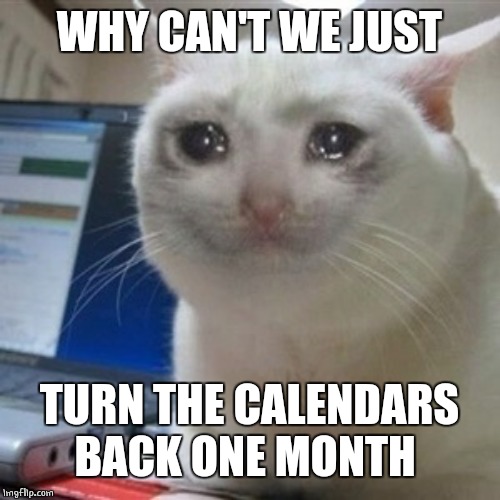 Crying cat | WHY CAN'T WE JUST TURN THE CALENDARS BACK ONE MONTH | image tagged in crying cat | made w/ Imgflip meme maker