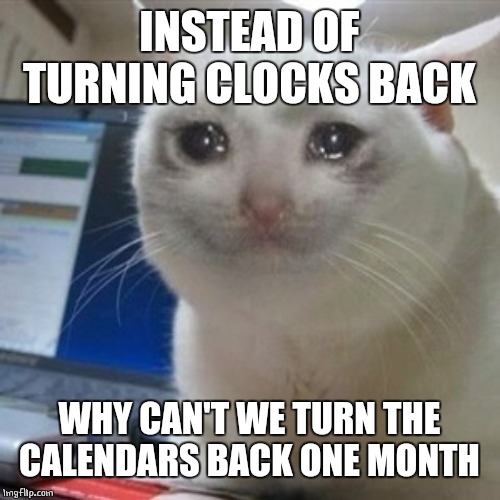 THEN I CAN LEAVE ALL MY HALLOWEEN STUFF UP AND GIVE OUT CANDY AGAIN! | INSTEAD OF TURNING CLOCKS BACK; WHY CAN'T WE TURN THE CALENDARS BACK ONE MONTH | image tagged in crying cat | made w/ Imgflip meme maker
