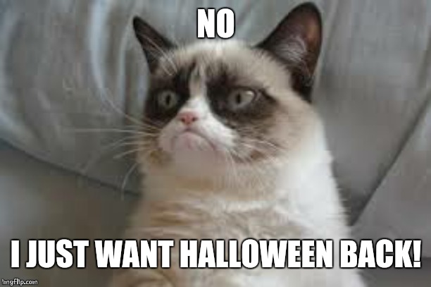 Grumpy cat | NO I JUST WANT HALLOWEEN BACK! | image tagged in grumpy cat | made w/ Imgflip meme maker