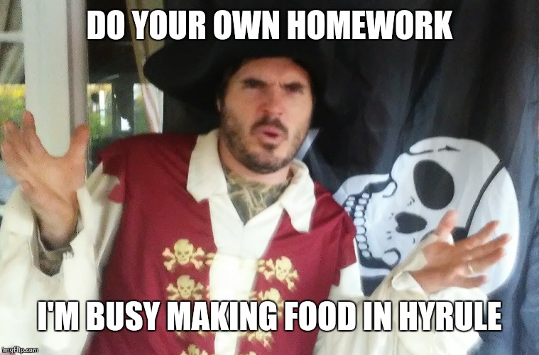WTF PIRATE | DO YOUR OWN HOMEWORK I'M BUSY MAKING FOOD IN HYRULE | image tagged in wtf pirate | made w/ Imgflip meme maker