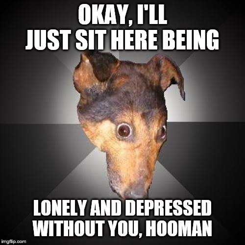 Depression Dog | OKAY, I'LL JUST SIT HERE BEING; LONELY AND DEPRESSED WITHOUT YOU, HOOMAN | image tagged in memes,depression dog | made w/ Imgflip meme maker