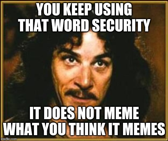princess bride | YOU KEEP USING THAT WORD SECURITY; IT DOES NOT MEME WHAT YOU THINK IT MEMES | image tagged in princess bride | made w/ Imgflip meme maker