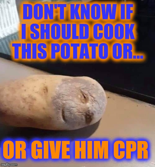 Careful! He could be contagious! | DON'T KNOW IF I SHOULD COOK THIS POTATO OR... OR GIVE HIM CPR | image tagged in vince vance,potatoes,sick potato,cpr,terminally ill,contagious | made w/ Imgflip meme maker