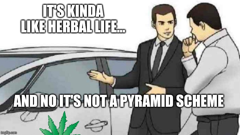 Car Salesman Slaps Roof Of Car | IT'S KINDA LIKE HERBAL LIFE... AND NO IT'S NOT A PYRAMID SCHEME | image tagged in memes,car salesman slaps roof of car | made w/ Imgflip meme maker