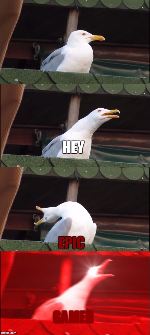 Inhaling Seagull | HEY; EPIC; GAMER | image tagged in memes,inhaling seagull | made w/ Imgflip meme maker