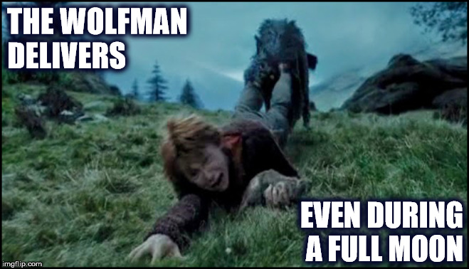 THE WOLFMAN DELIVERS | THE WOLFMAN
DELIVERS; EVEN DURING
A FULL MOON | image tagged in wolfman,halloween,happy halloween,ron weasley,sirius black,full moon | made w/ Imgflip meme maker