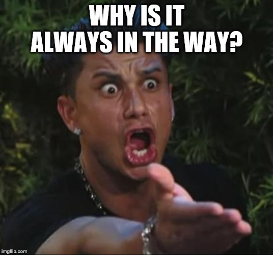 DJ Pauly D Meme | WHY IS IT ALWAYS IN THE WAY? | image tagged in memes,dj pauly d | made w/ Imgflip meme maker