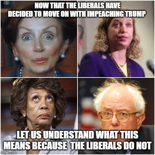 Crazy Democrats | NOW THAT THE LIBERALS HAVE DECIDED TO MOVE ON WITH IMPEACHING TRUMP; LET US UNDERSTAND WHAT THIS MEANS BECAUSE  THE LIBERALS DO NOT | image tagged in crazy democrats | made w/ Imgflip meme maker