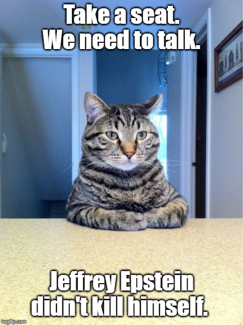 Take A Seat Cat Meme | Take a seat. We need to talk. Jeffrey Epstein didn't kill himself. | image tagged in memes,take a seat cat,jeffrey epstein | made w/ Imgflip meme maker