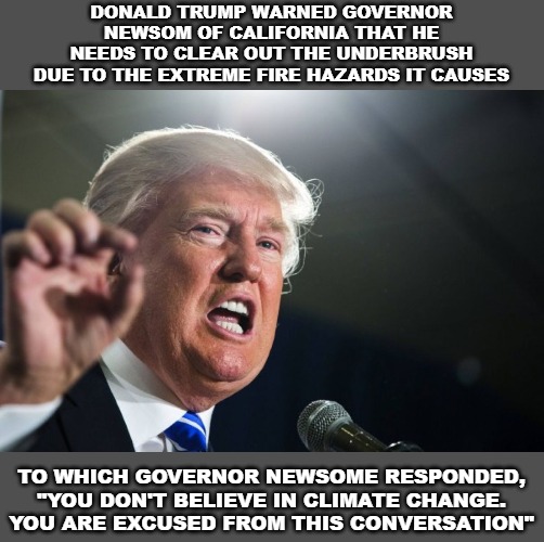 Just let them burn, Mr. Trump, let them burn .... | DONALD TRUMP WARNED GOVERNOR NEWSOM OF CALIFORNIA THAT HE NEEDS TO CLEAR OUT THE UNDERBRUSH DUE TO THE EXTREME FIRE HAZARDS IT CAUSES; TO WHICH GOVERNOR NEWSOME RESPONDED, "YOU DON'T BELIEVE IN CLIMATE CHANGE. YOU ARE EXCUSED FROM THIS CONVERSATION" | image tagged in donald trump,california,governor newsom,california fires | made w/ Imgflip meme maker