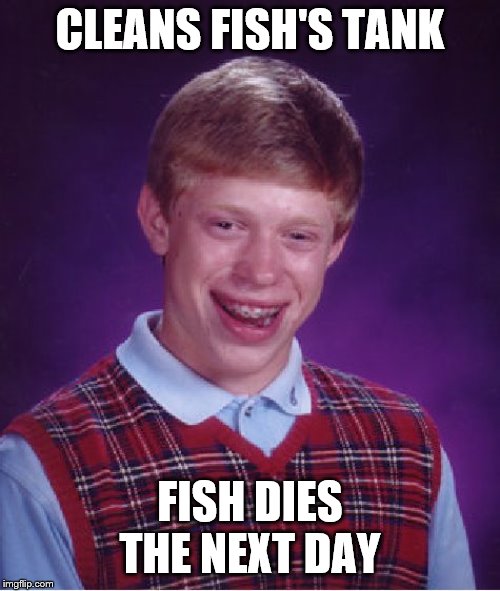 Bad Luck Brian | CLEANS FISH'S TANK; FISH DIES THE NEXT DAY | image tagged in memes,bad luck brian | made w/ Imgflip meme maker