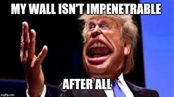 Unlike his skull | MY WALL ISN'T IMPENETRABLE; AFTER ALL | image tagged in trumps wall | made w/ Imgflip meme maker