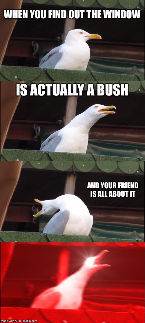 Inhaling Seagull | WHEN YOU FIND OUT THE WINDOW; IS ACTUALLY A BUSH; AND YOUR FRIEND IS ALL ABOUT IT | image tagged in memes,inhaling seagull | made w/ Imgflip meme maker