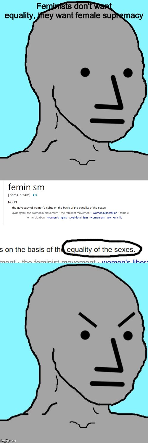 Damn feminism, ruining America with their wanting equality | Feminists don't want equality, they want female supremacy | image tagged in memes,npc,npc meme angry,feminism | made w/ Imgflip meme maker