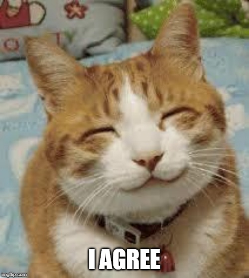 Happy cat | I AGREE | image tagged in happy cat | made w/ Imgflip meme maker