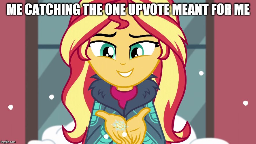 It is not much, but it is mine | ME CATCHING THE ONE UPVOTE MEANT FOR ME | image tagged in mlp fim,equestria girls | made w/ Imgflip meme maker