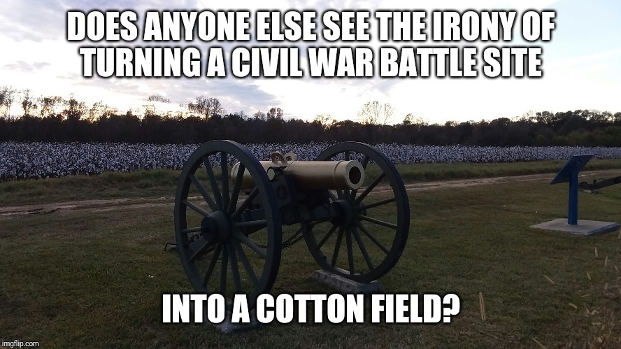 Civil War Cottonfield | DOES ANYONE ELSE SEE THE IRONY OF
TURNING A CIVIL WAR BATTLE SITE; INTO A COTTON FIELD? | image tagged in civil war cottonfield | made w/ Imgflip meme maker